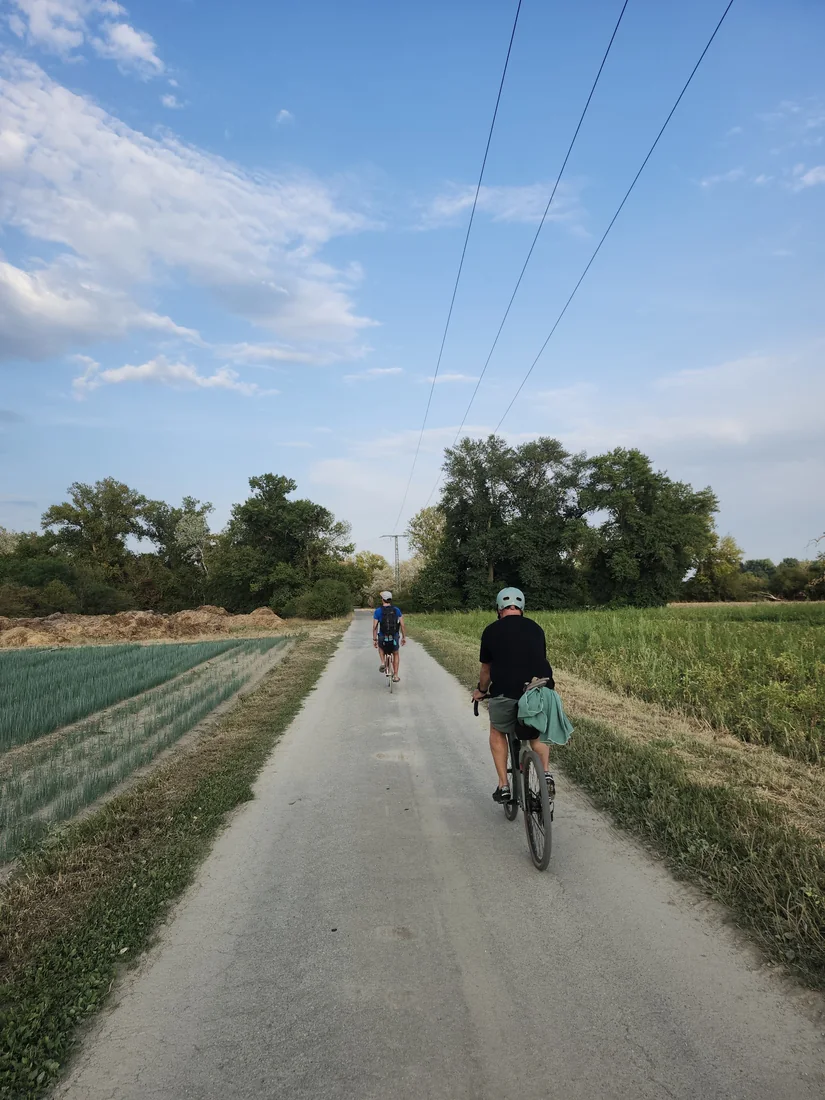 Ruhiger Radweg Richtung Neuhofen