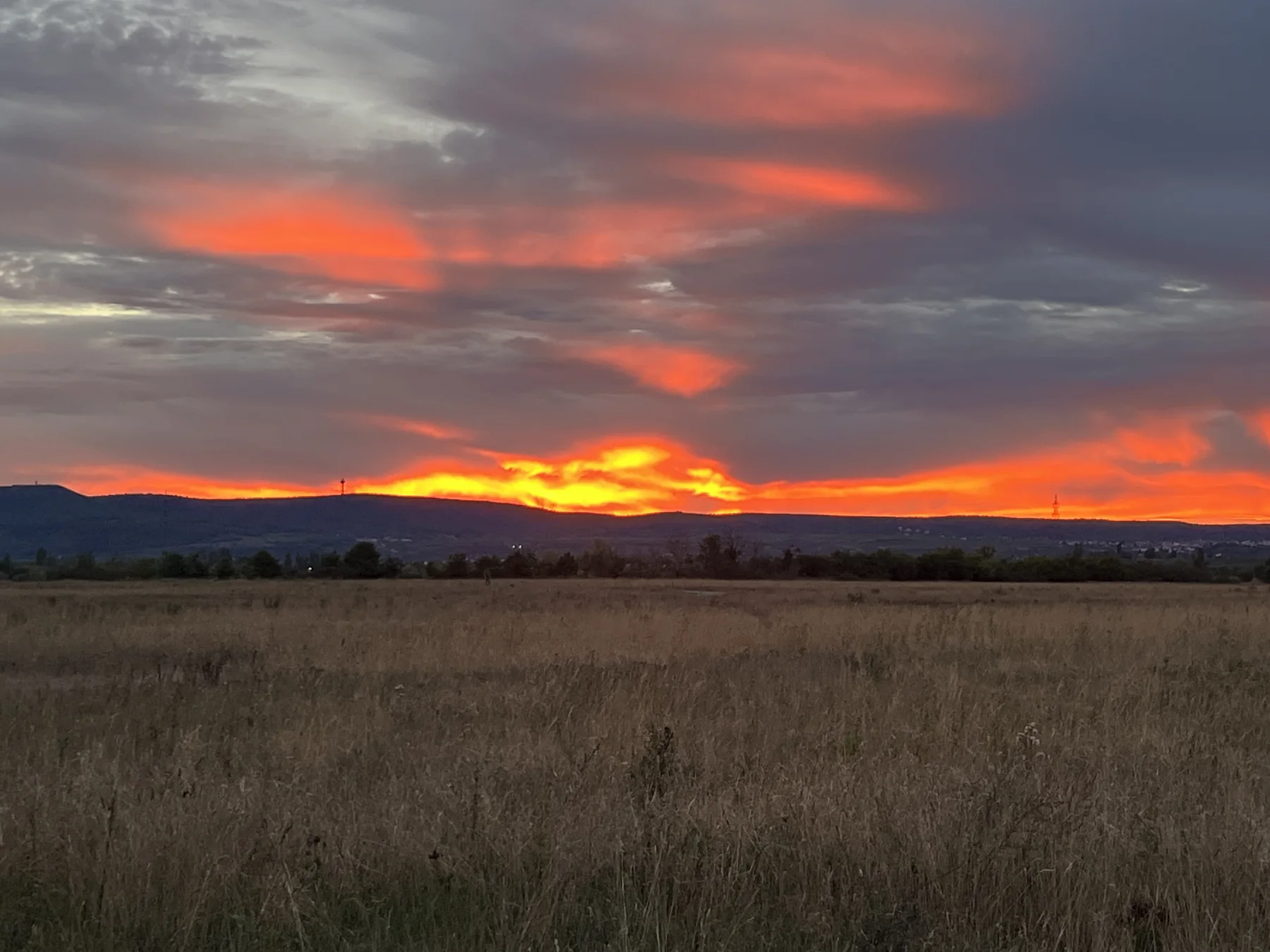 Leuchtender Sonnenuntergang über dem Pfälzerwald auf dem Rückweg nach Mannheim