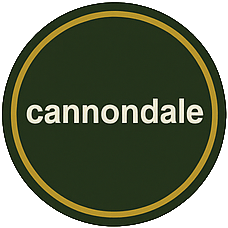 Cannondale Fahrradreparatur und E-Bike Service in Mannheim – Backyard Bicycles