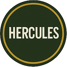 Hercules Fahrradreparatur und E-Bike Service in Mannheim – Backyard Bicycles